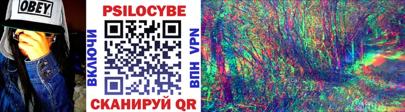 Галлюциногенные грибы Psilocybe  Харовск 